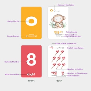 Pu&ograve; includere: Una flashcard con sfondo rosso e il numero 8 in bianco. Il retro della carta mostra un'immagine di otto bastoncini di zucchero e le parole coreane per otto in coreano nativo e sino-coreano.