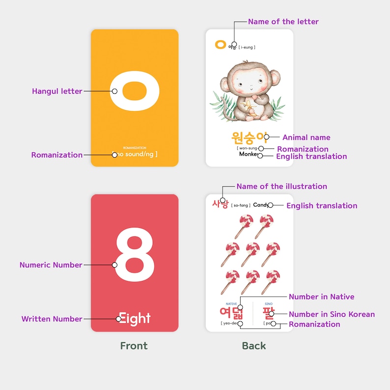Pu&ograve; includere: Una flashcard con sfondo rosso e il numero 8 in bianco. Il retro della carta mostra un'immagine di otto bastoncini di zucchero e le parole coreane per otto in coreano nativo e sino-coreano.