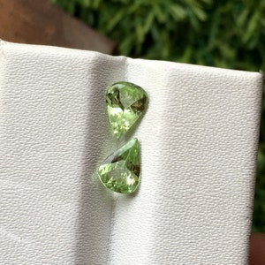 Pear Cut Tsavorite Garnet: Light Green Gemstone, 1.20 Cts (7x5 MM)