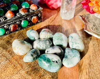 Tree Agate Tumble Stone for Inner Spiritual Growth Metaphysical And Holistic Properties