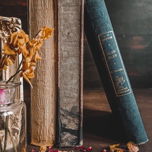 Blind Date with a Book +FREE TEA! | Surprise Book Box | Thrifted Box | Book Lover Gifts | Reader Gifts | Bookish | Book gifts