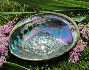 Abalone Shells for smudging and Incense Burning Tool