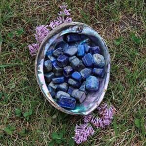 Lapis Lazuli Tumble Stone Metaphysical And Holistic Properties of Spiritual Enlightenment Third Eye Chakra Tumbles Bulk
