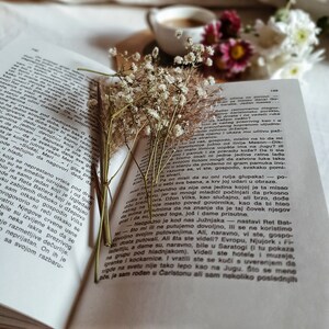 Scatola di libri a sorpresa dell'usato / Appuntamento al buio con un libro, tè gratis immagine 4