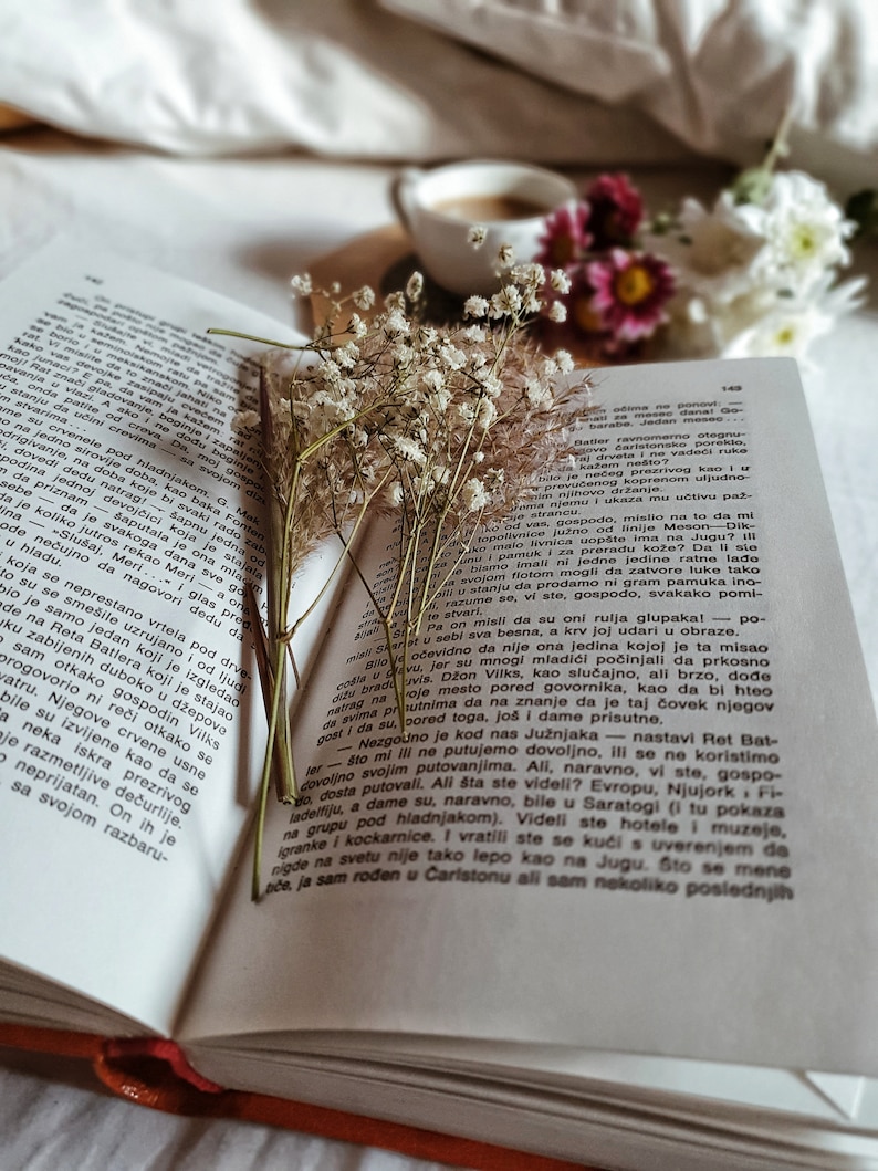 Scatola di libri a sorpresa dell'usato / Appuntamento al buio con un libro, tè gratis immagine 4