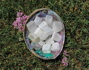 May include: A collection of white selenite crystals in a seashell. The crystals are smooth and polished, and they are arranged in a random pattern. The seashell is iridescent and has a natural, organic shape.