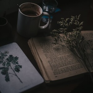 Scatola di libri a sorpresa dell'usato / Appuntamento al buio con un libro, tè gratis immagine 6