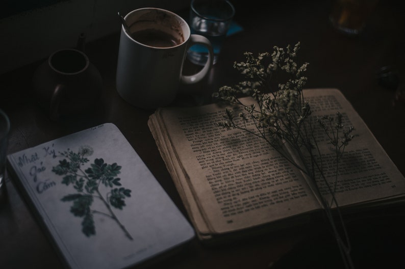 Scatola di libri a sorpresa dell'usato / Appuntamento al buio con un libro, tè gratis immagine 6