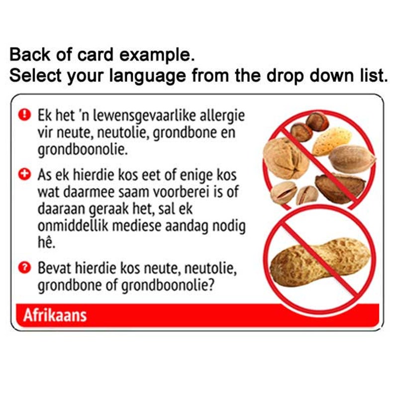 Language Intolerance Nuts and Peanuts Food Allergy Cards (2 Pack) in 70 Languages Food ...