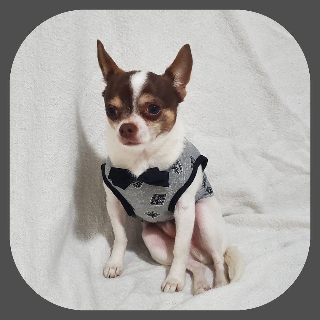 Boy Dog Clothes Dog Clothes for Small Dogs Boy Dog Shirt for Etsy