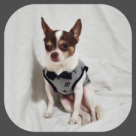 Captain marvel hotsell dog shirt
