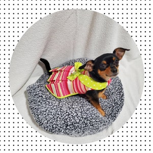 Dresses for Small Dogs, Dog Dress, Teacup Dog Dress, Dog Clothes, Teacup Dog Clothes, Girl Dog Clothes, Chihuahua Clothes, Girl Dog Dress