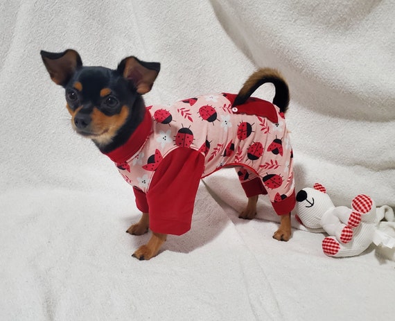 Teacup Dog Pajamas, Dog Pajamas, Teacup Dog Clothes, Chihuahua
