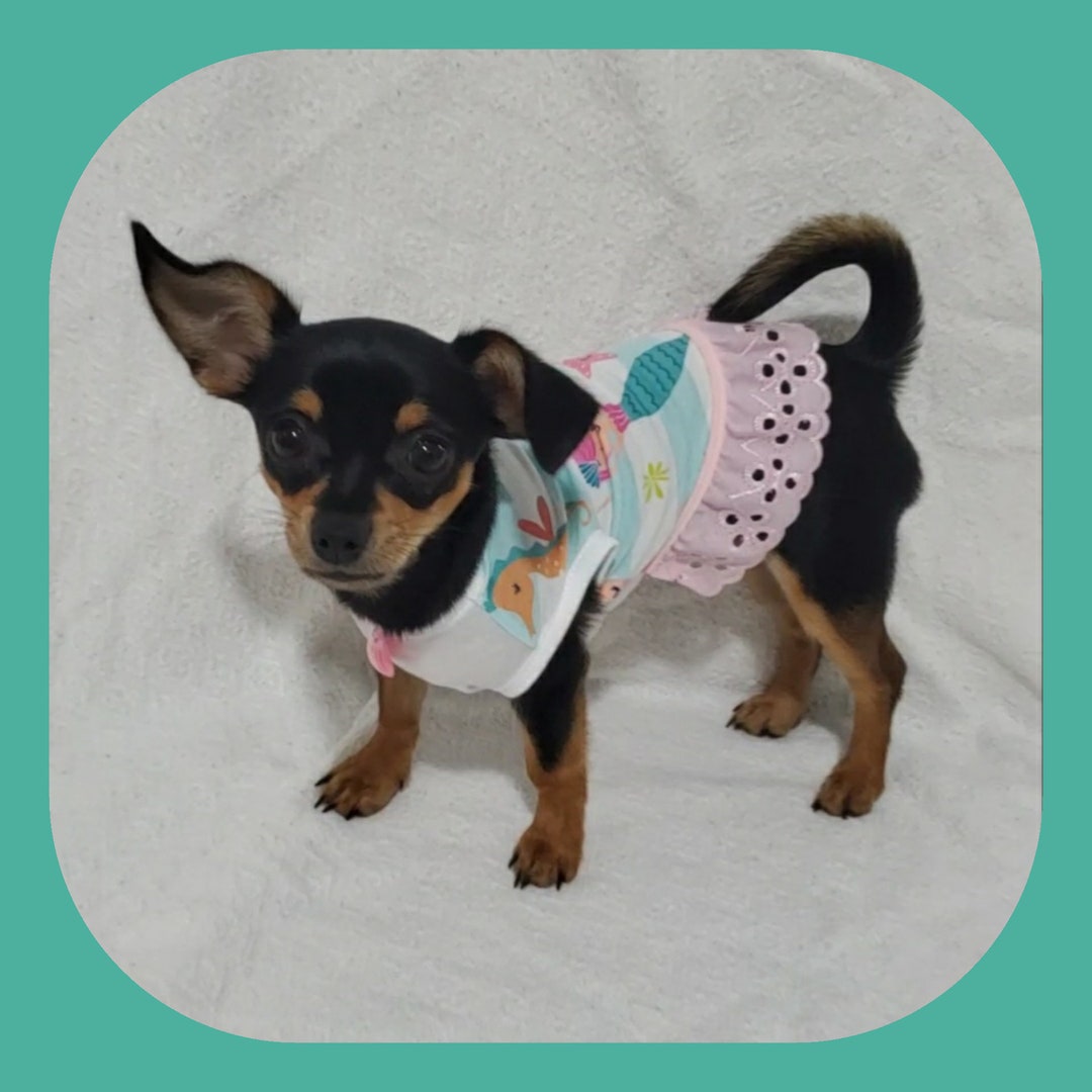 Dog Clothes Girl, Teacup Outfits, Small Girl Dog Clothes, Dog Shirt for