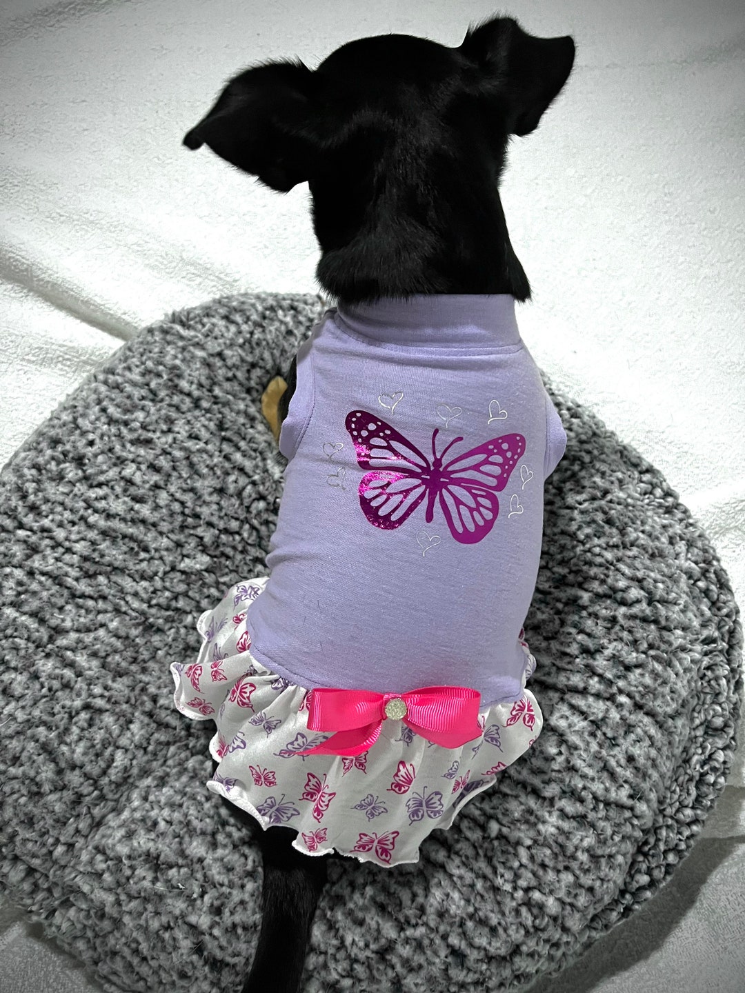 Teacup Dog Dress, Teacup Outfits, Chihuahua Clothes, Teacup Dog Clothes
