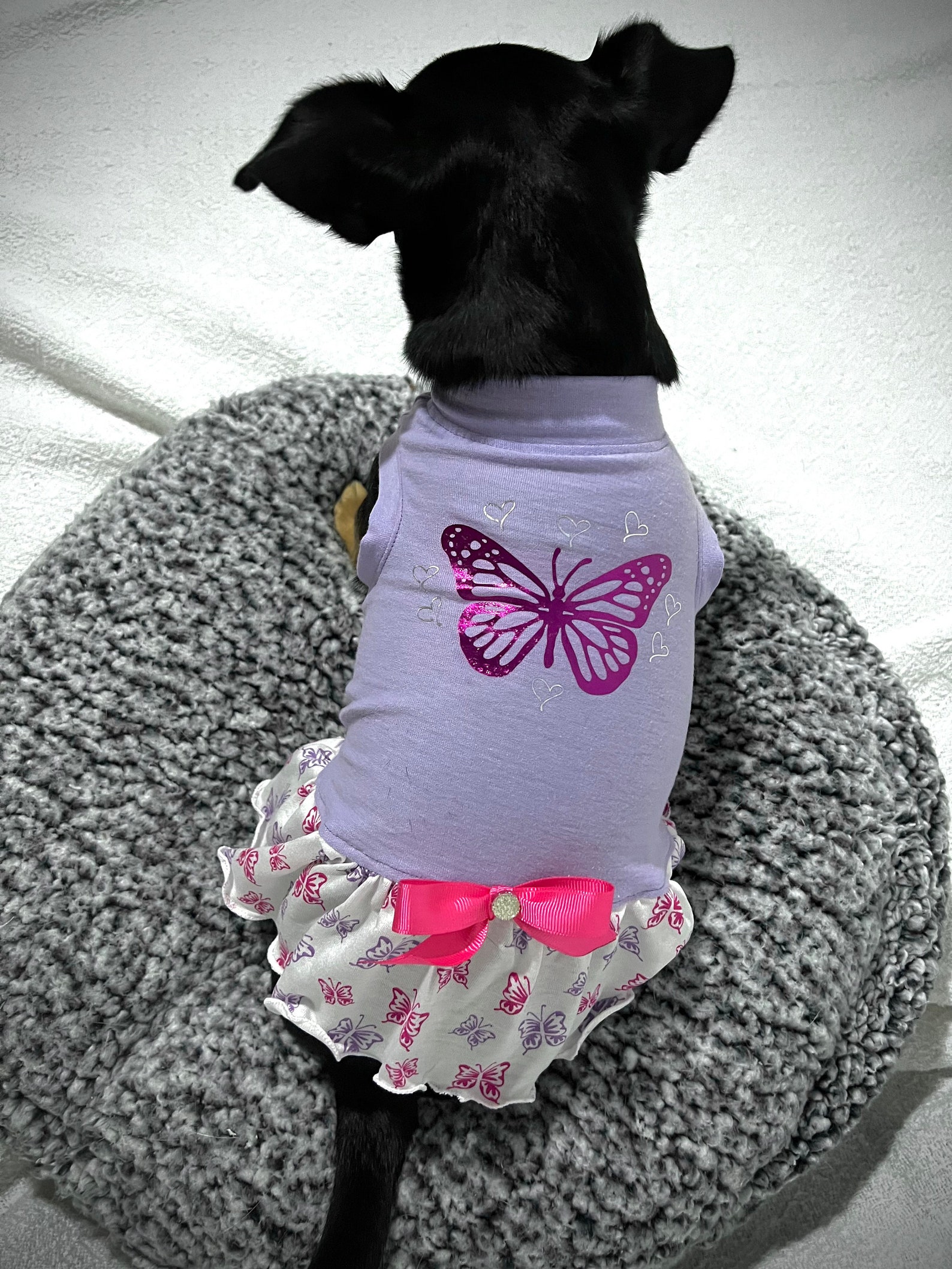 Teacup Dog Dress, Teacup Outfits, Chihuahua Clothes, Teacup Dog Clothes