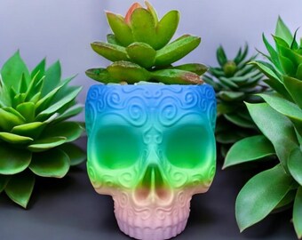 多肉植物シュガースカルプランター - ユニークなスカルポット（排水口