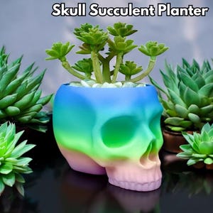 Maceta de calavera para suculentas: maceta única con forma de calavera y drenaje para plantas reales o artificiales, decoración gótica para el hogar.