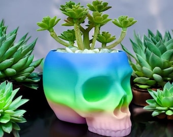 Succulent Skull Planter – Unique Skull Pot with Drainage Option for Real or Fake Plants, Gothic Home Decor - Succulent Planter Pot