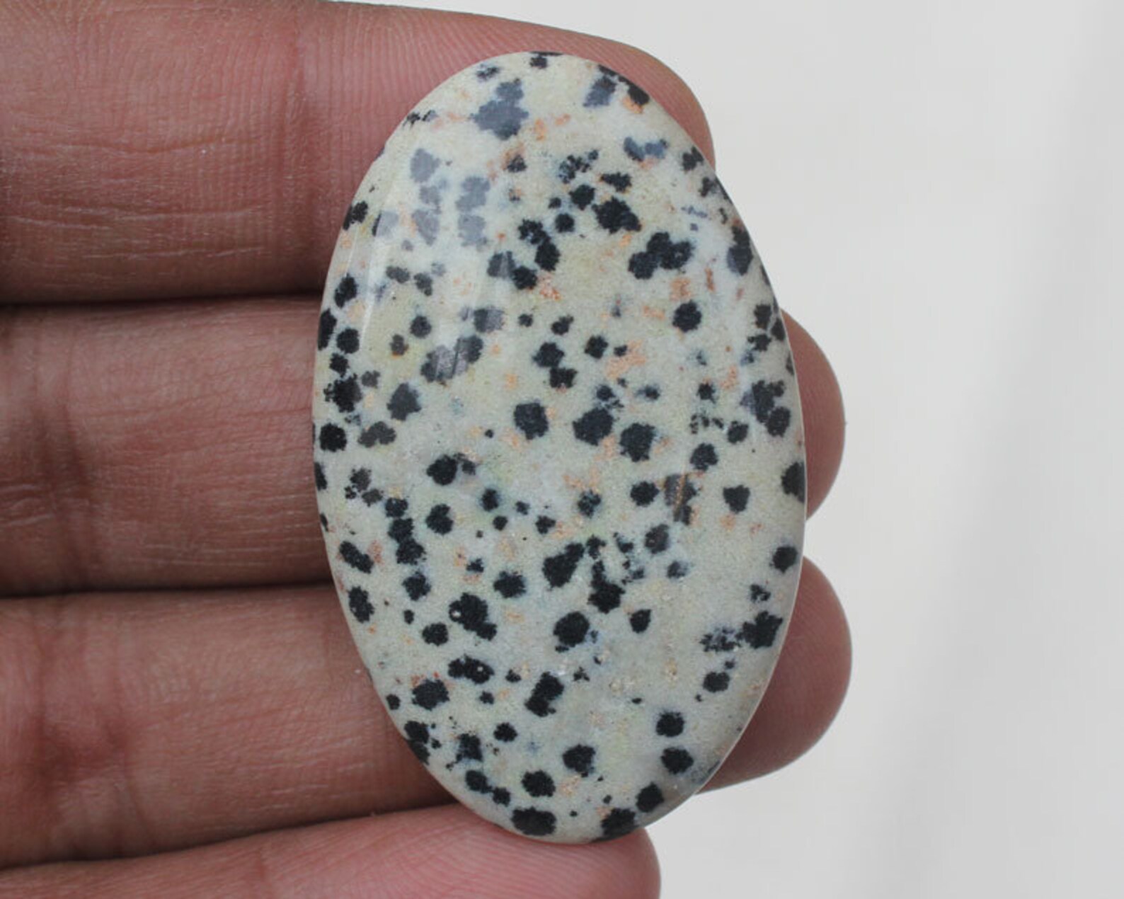 Dalmatian Jasper 28X43X5 MM Excellence Dalmatian Jasper Oval Etsy
