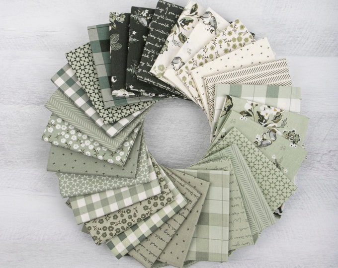 Gingham Fields Fat Quarter or Half Yard Bundle by Riley Blake Designs ...