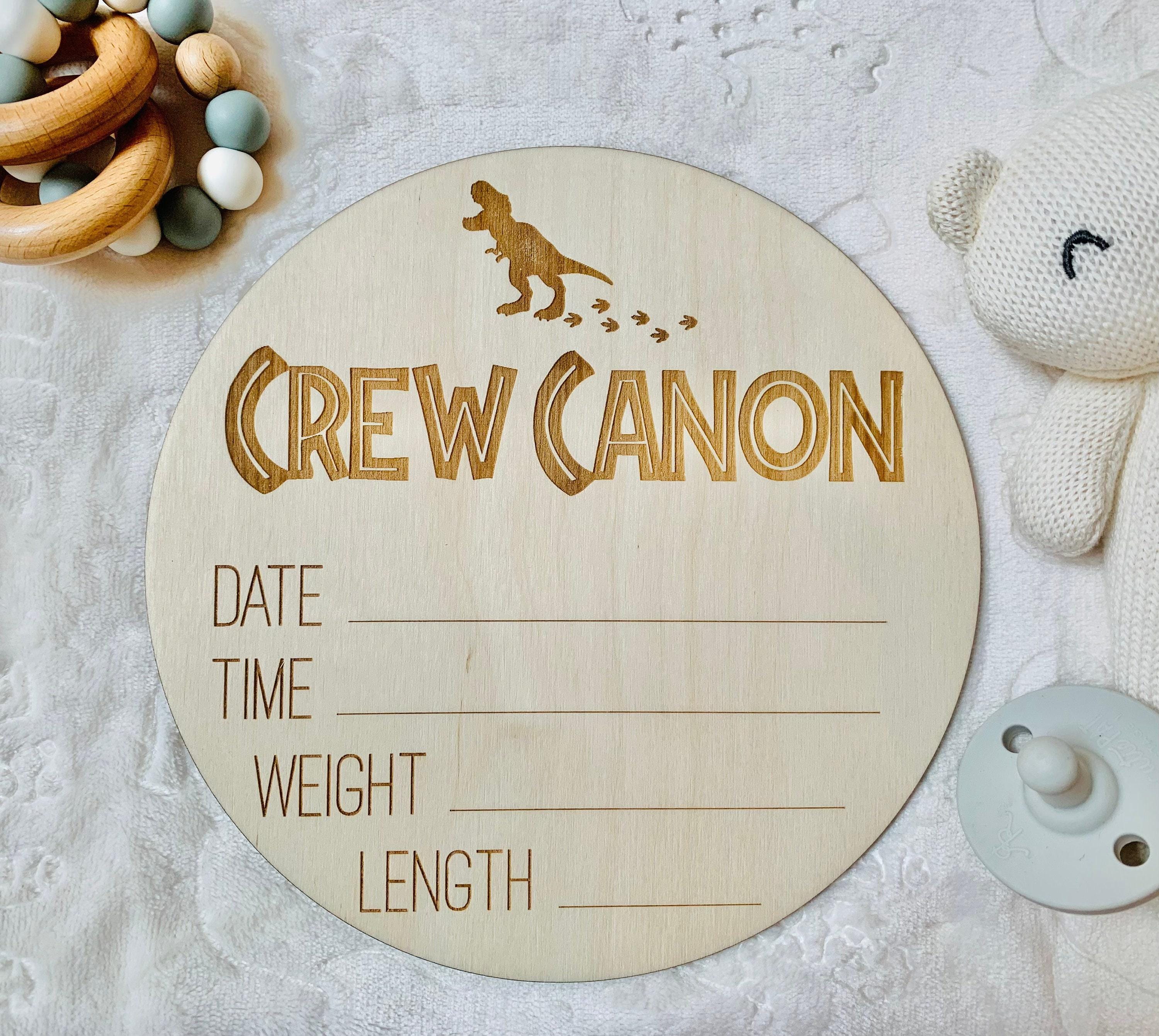 Dinosaur Birth Announcement Sign: Engraved Wooden Baby Stats Plaque - Etsy