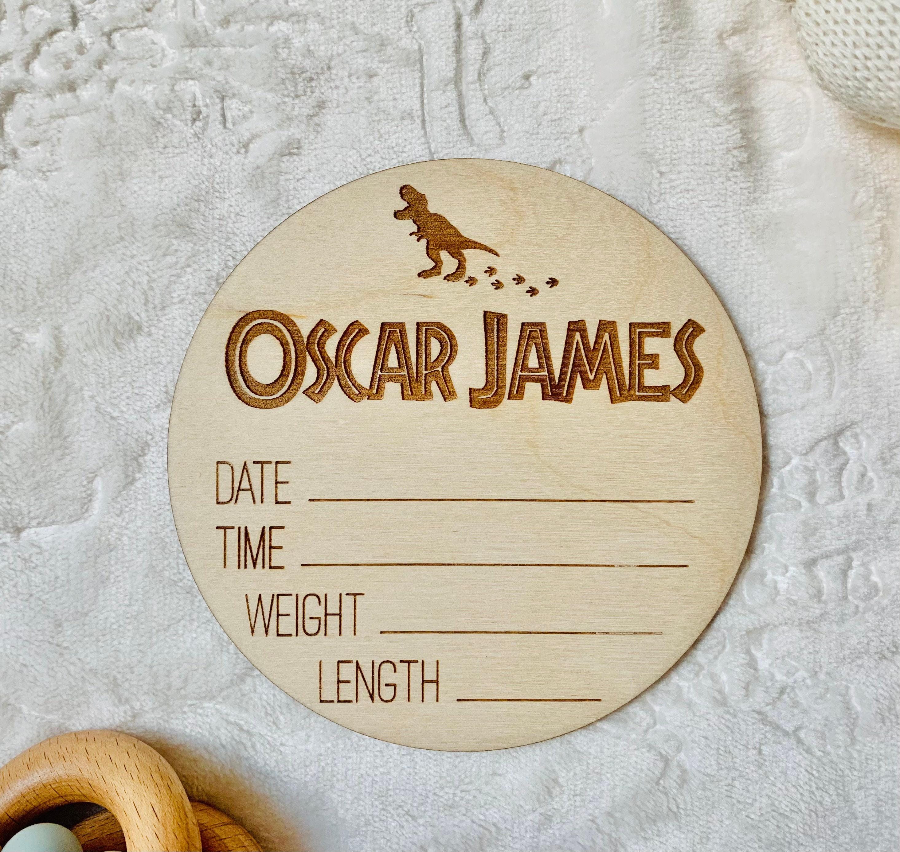 Dinosaur Baby Name Announcement Sign: Wooden Birth Stat Sign - Etsy