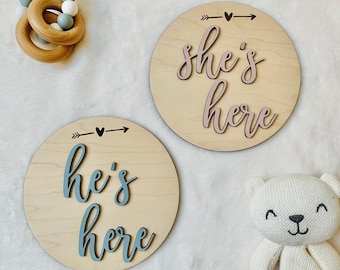 He's Here She's Here Baby Sign | Gender Reveal Plaque | Newborn Hospital Photo Prop
