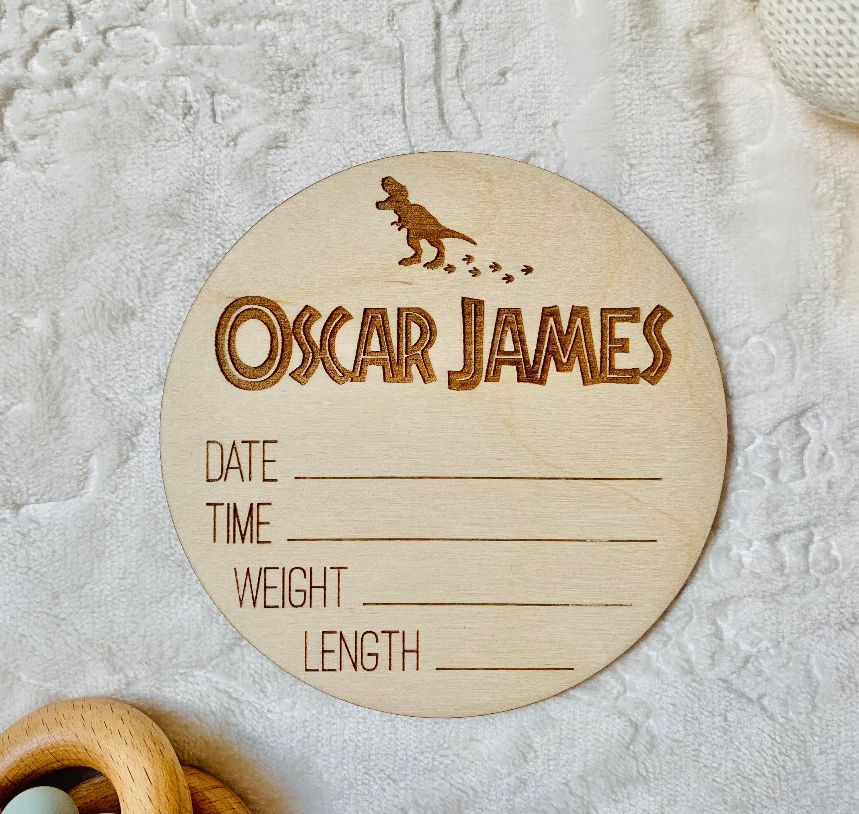 Dinosaur Baby Name Announcement Sign Birth Announcement Sign | Etsy