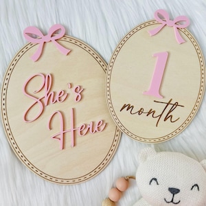 Baby Girl Monthly Milestone Signs, Monthly Baby Milestone Signs with Pink Bow, Baby First Year Milestone Signs, She&#39;s Here Sign.