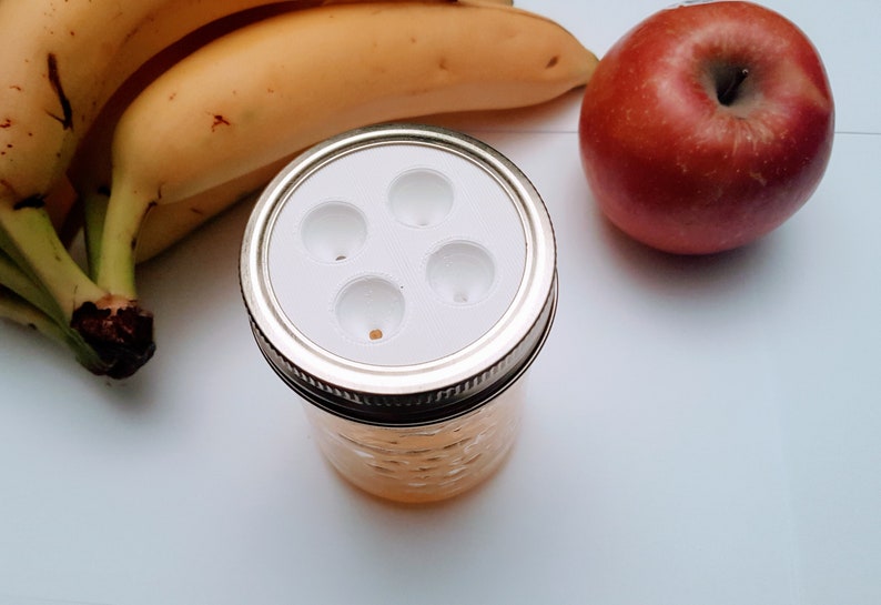 Mason Jar Fruit Fly Trap Lid x2 Etsy