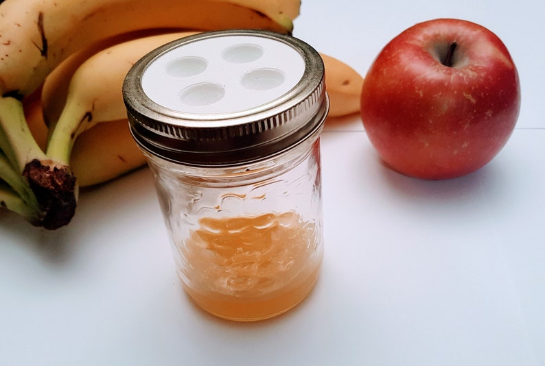 Mason Jar Fruit Fly Trap Lid x2 Etsy