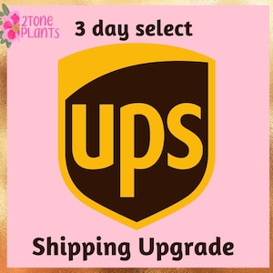May include: A brown UPS logo with the text "UPS" in yellow letters. The logo is surrounded by a yellow border and the text "3 day select Shipping Upgrade" is above and below the logo.