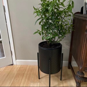 May include: A black plant stand with a black planter and a green plant. The plant stand has a geometric design.