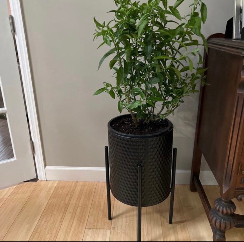 May include: A black plant stand with a black planter and a green plant. The plant stand has a geometric design.