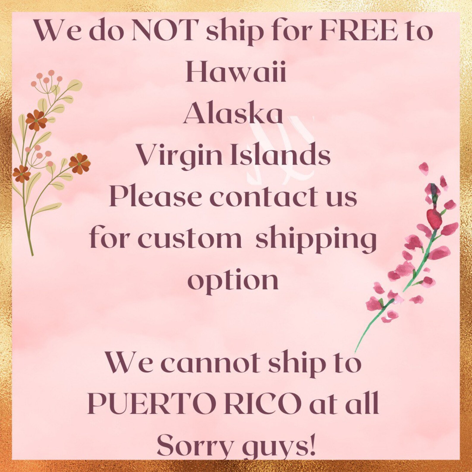 Jamaican Croton Chocolate Caricature Croton 10 Inch Pot FREE Etsy