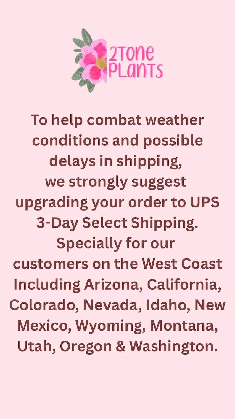 May include: A light pink graphic with a floral logo featuring a pink flower and green leaves above the text 2Tone PLANTS. Below, dark brown text advises customers to upgrade to UPS 3-Day Select shipping to combat weather conditions and delays.