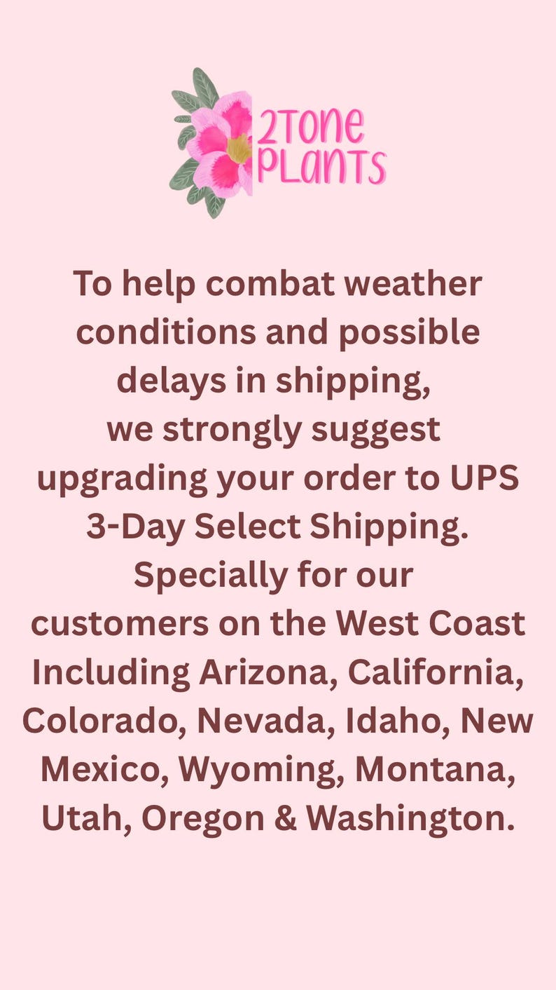 K&ouml;nnte beinhalten: Rosa Hintergrund mit dem Text "2Tone PLANTS" und einer floralen Grafik. Der Text empfiehlt, Bestellungen auf UPS 3-Day Select Shipping umzustellen, um Wetterverz&ouml;gerungen zu bek&auml;mpfen, insbesondere f&uuml;r Kunden an der Westk&uuml;ste.