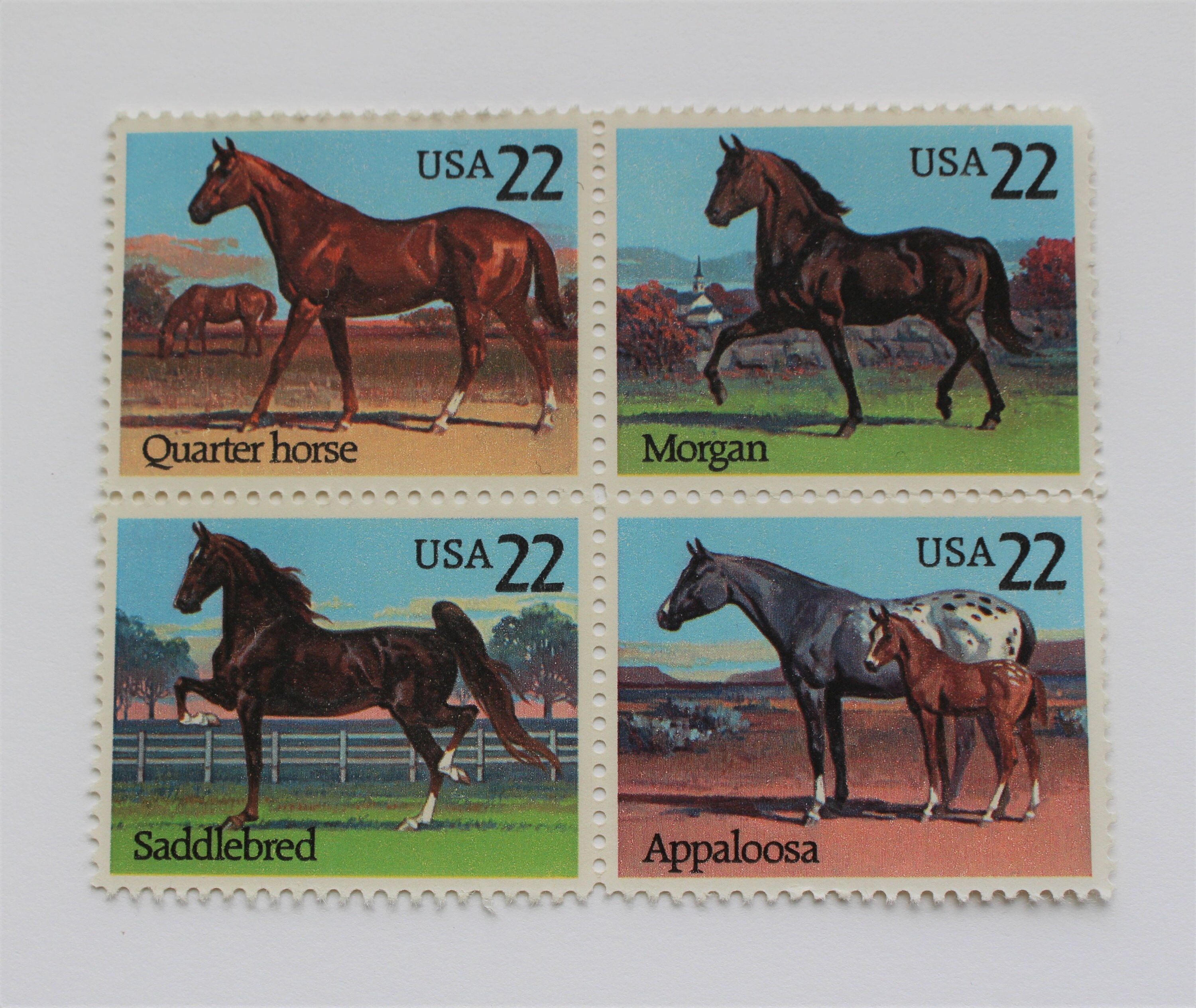 Horses set of four US Postage Stamps / 4 Vintage horse stamps Etsy