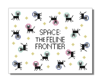 Ruimtekatten, astronauten, kittens, kruissteekpatroon, pdf-bestand, grappig, schattig