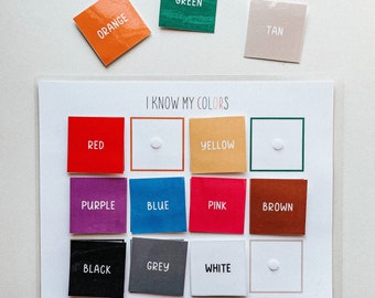 Color Sorting Activity Sheet: Preschool Busy Book (Digital Download)