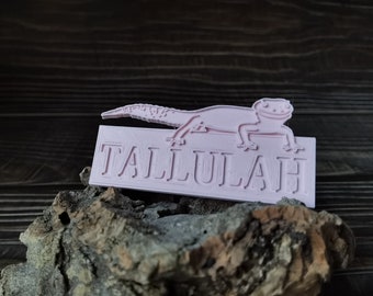 Leopard gecko name plaque