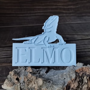 May include: A light blue plastic sign with the name "ELMO" in white lettering. A light blue plastic bearded dragon lizard is perched on top of the sign.