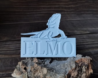 Bearded dragon name plaque