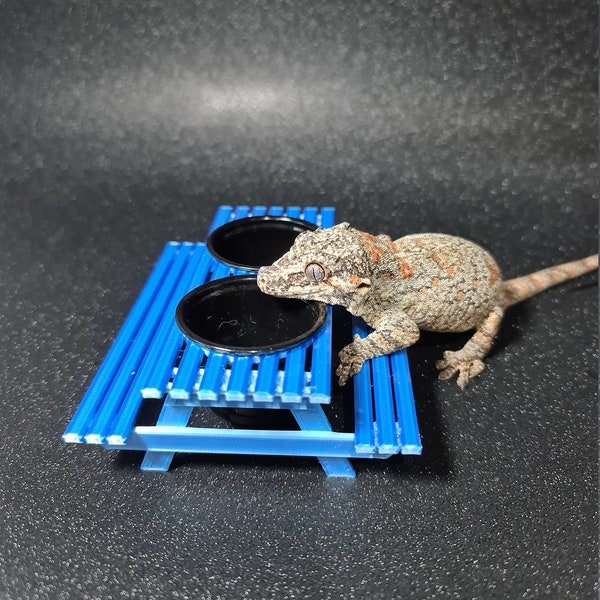 Banco de piquenique Gecko Food, impresso em 3D, Gecko, Réptil