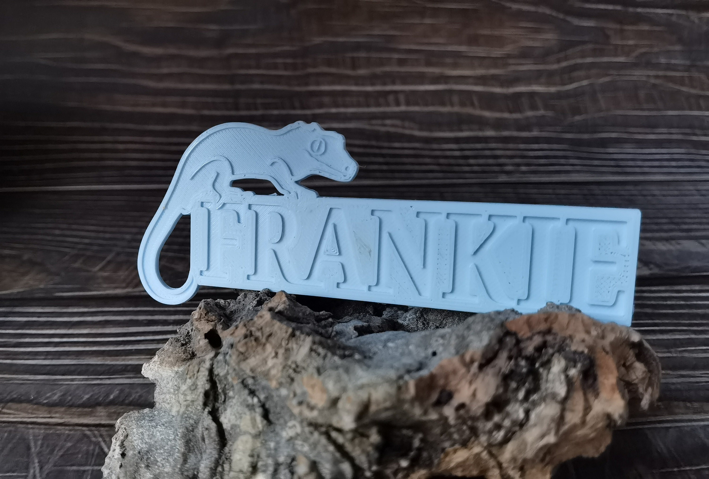 Gargoyle gecko name plaque