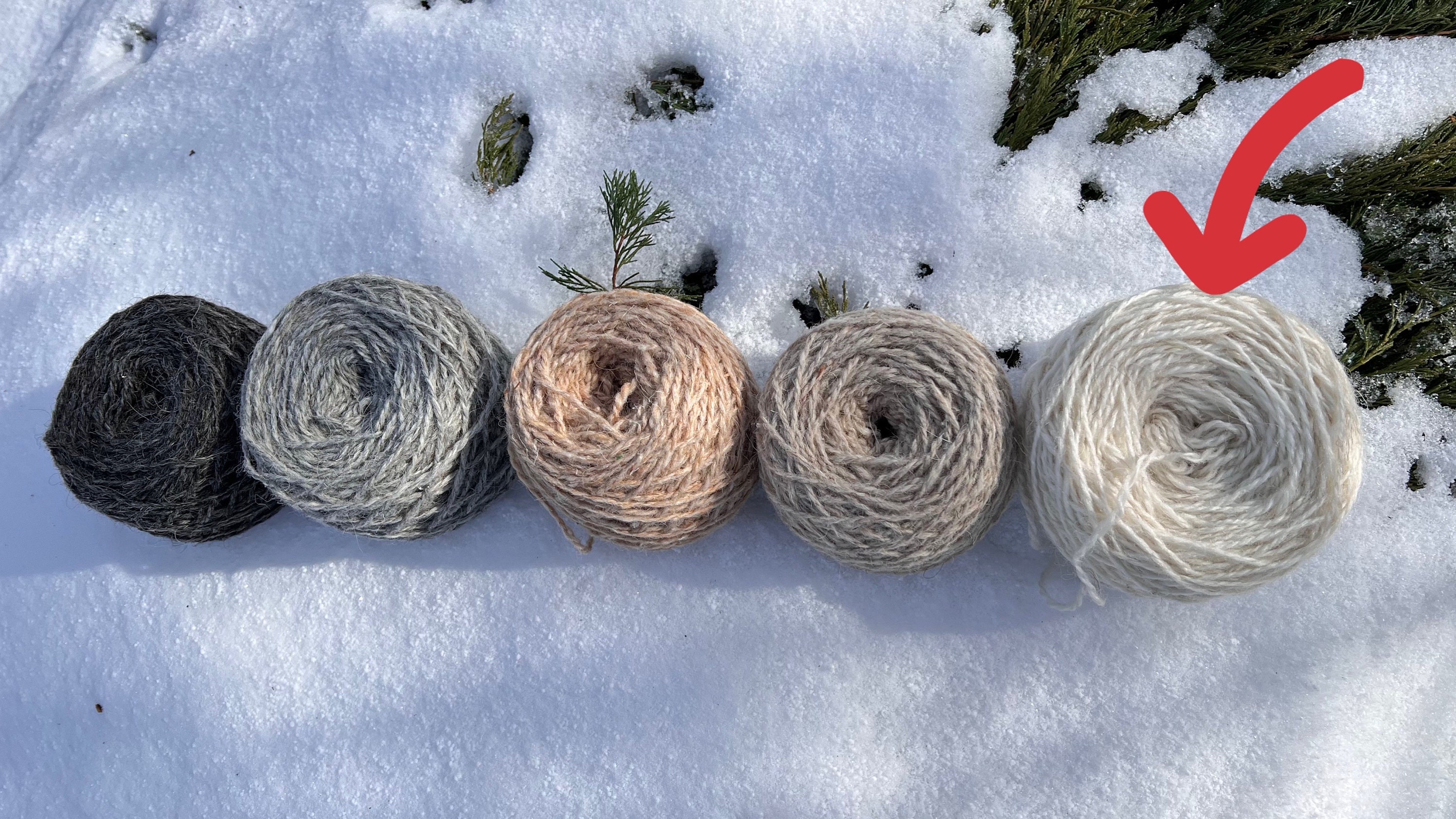 Dog Wool Yarn, Warming Belt Knitting, Socks, 60/40 Dog/sheep Wool Yarn