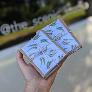 10 Pack Notecards / Eco Friendly / Australian Print / greeting cards / Thank you cards
