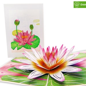 Water Lily Quillipop, Quilling Popup Biglietti d'auguri - Arte unica fatta a mano/fatta con il cuore. Biglietto d'auguri di design per tutte le occasioni