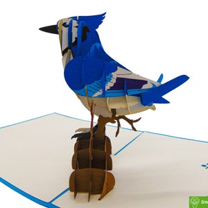 Blue Jay, tarjeta emergente, tarjetas de felicitación emergentes 3D: arte único y dedicado hecho a mano/hecho con corazón. Tarjeta de felicitación de diseño para toda ocasión.